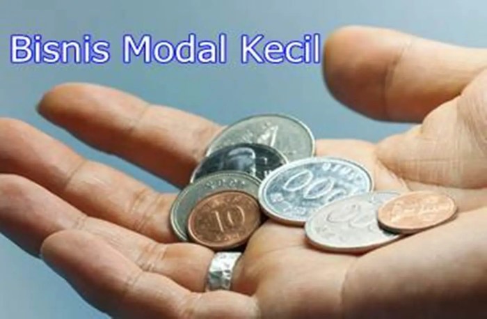 bisnis modal kecil